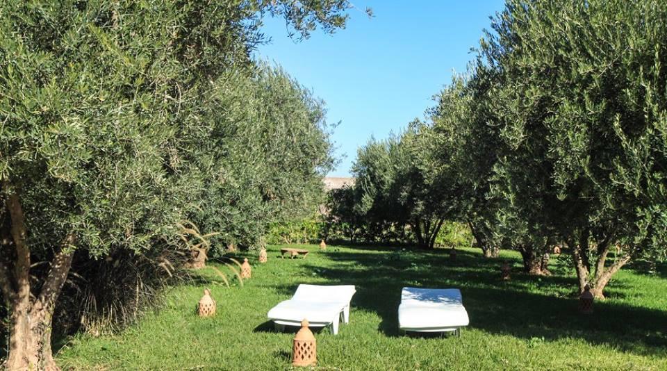 Riad Sidi Hicham Ouled Bouzid エクステリア 写真